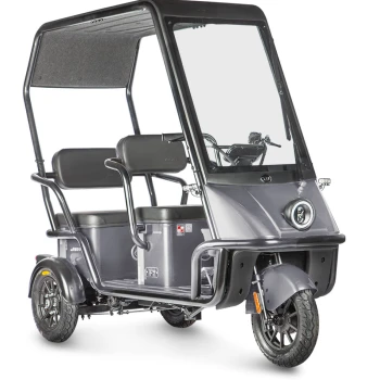 Электротрицикл Wanshida NIPLA 500 60V 1000Вт Черно-серый